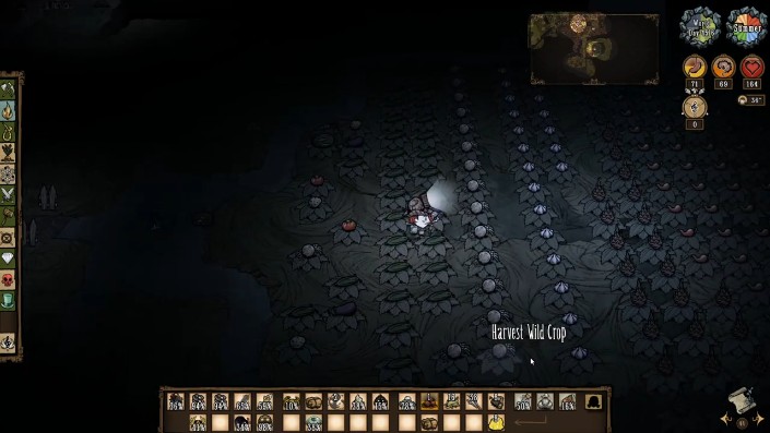 绿洲沙漠中生长的仙人掌